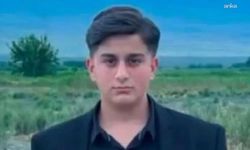 Iğdır'da büyükbaş hayvanın darbe vurduğu çocuk öldü