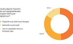 İPA'dan çalışma hayatı araştırması