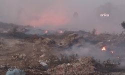 İzmir Dikili'deki yangın kontrol altına alındı