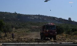 İzmir Urla'da orman yangını
