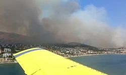 İzmir'in Dikili ilçesinde orman yangını