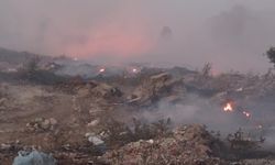 İzmir'in Dikili ilçesindeki yangına müdahale devam ediyor