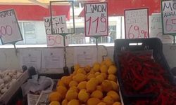 Limonun tanesini 24 liraya satıldığını gören yurttaşlar: 'Nedir bu milletin çektiği'