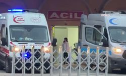Mardin'de iki kardeş, aralarında çıkan silahlı kavgada yaralandı