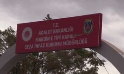 Mardin'de parkta işlenen cinayetle ilgili 3 tutuklama