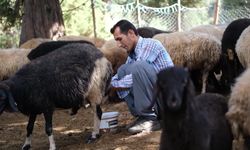 Mersin Büyükşehir Belediyesi'nden kalkınmada sürdürülebilir model: 'Hadi Gel Köyümüze Destek Verelim'
