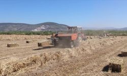 Muğla Büyükşehir Belediye Başkanı Aras, Ekinanbarı'nda üreticilerle bir araya geldi