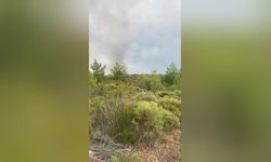 Muğla ve Aydın'da yıldırım düşmesi kaynaklı 6 yangına müdahale sürüyor