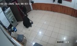 Muğla'da eşini av tüfeğiyle yaraladığı iddia edilen sanık hakim karşısına çıktı