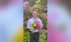 Mustafa Bıyık, İmamoğlu'nun isteği üzerine komar çiçeği topladı