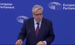 Nacho Sanchez Amor: Türkiye'deki çoğulcu demokrasiyi koruyamıyoruz
