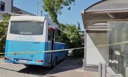 Osmaniye'de özel halk otobüsünün üzerine çınar ağacı devrildi