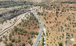 Şanlıurfa'da 33 yıl işletilecek ve patlatma yöntemi kullanılacak kalker ocağı projesine 'ÇED olumlu' kararı