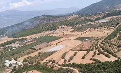 Seydikemer'de tarım arazisinden ormana sıçrayan yangın kontrol altına alındı