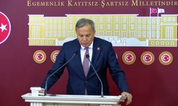 Seyit Torun: TMO, fındığın fiyatını daha aşağı çekmenin önünü açacak