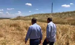 Sezgin Tanrıkulu: 'TMO, çiftçinin kara gün dostu değil, sofrasındaki ekmeğin düşmanı haline dönüşmüş durumda'