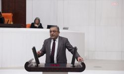 Sezgin Tanrıkulu, yurtlardaki ölümler hakkında araştırma önergesi verdi