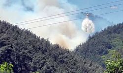 Soma'daki orman yangını kontrol altına alındı
