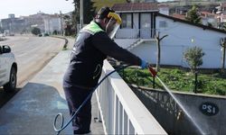 Tekirdağ Büyükşehir Belediyesi, kent genelinde ilaçlama çalışmalarını sürdürüyor
