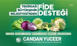 Tekirdağ Büyükşehir Belediyesi'nin fide desteği programına başvurular başladı
