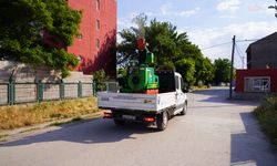 Tepebaşı'nda haşereye karşı etkin mücadele