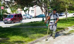 Tepebaşı'nın park ve yeşil alanlarında çim biçme çalışmaları sürüyor