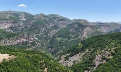 Tunceli'de 39 yıldır köylerine dönmeyi bekliyorlar: 'Tek talebimiz yol'