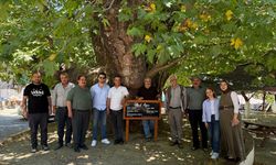 TÜREB, rüzgar enerjisinde sosyal kabulü güçlendirmek için yeni proje başlattı