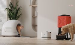 Xenon Smart, kedi ve köpeklerin günlük bakımını zahmetsiz hale getiren akıllı pet teknolojilerini tanıttı