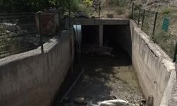 Yeşilyurt'ta kiraz üreticilerinden sulama tepkisi: 'Haziran ortası geldi, hâlâ su yok'