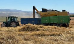 Yozgat'ta arpa hasadı başladı: Çiftçiler, fiyatların düşük olmasından dert yandı