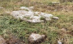 Yozgat'ta dolu ekili alanlara zarar verdi