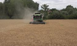 Yozgat'ta hububatta yüksek rekolte bekleniyor