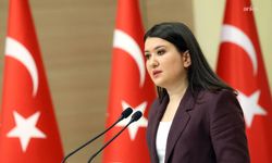CHP'li Gökçe Gökçen'den Deniz Göktaş'ın gözaltına alınmasına tepki