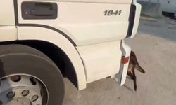 Adana'da bir otomobilde 24 kilo 600 gram uyuşturucu ele geçirildi