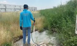Adıyaman Belediyesi'nden haşereyle mücadelede yoğun mesai