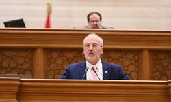 AK Partili Cevizoğlu, Akdeniz İçin Birlik Parlamenter Asamblesi Yönetim Kurulu Başkan Yardımcılığı'na seçildi