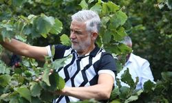 Altınordu Ziraat Odası Başkanı Akça: 'Serbest piyasada fındık üreticisine 160-170 lira fiyat dayatılması kabul edilemez'