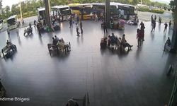 Antalya Otobüs Terminali'nde 90 kilogram kerevit yakalandı