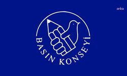 Basın Konseyi: Gazetecilere gözaltıların devam etmesi ülkemiz adına utanç verici