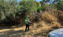 Bodrum'da ot temizliği çalışmaları haziran ayı boyunca aralıksız sürdü