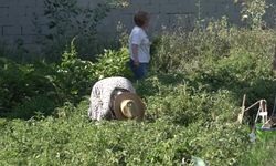 Bornova'da kadın eliyle büyüyen dayanışma