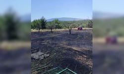 Bornova'da otluk alanda çıkan yangın büyümeden söndürüldü