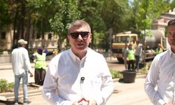 Burdur'da İstasyon Caddesi yeni ağaçlarla yeşilleniyor