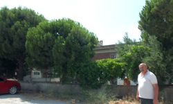 Burhaniyeli işletmeciyle elektrik şirketi arasında kesinti tartışması