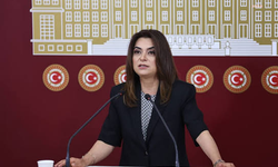 DEM Partili Gülistan Kılıç Koçyiğit'ten AYM'nin HPV aşısı kararına tepki: 'Kanserden korunmak zenginlerin ayrıcalığı olamaz'