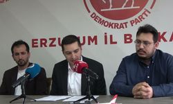 Demokrat Partili Kaya: 'Erzurum'un ulaşım sorunu birkaç ek seferle çözülemez'