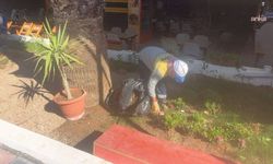 Didim Belediyesi, kendi ürettiği çiçekleri toprakla buluşturuyor