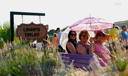 Didim Lavanta ve Aromaterapi Festivali sona erdi