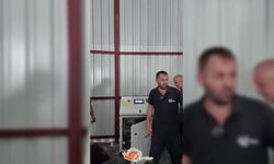 Gerze'de artan yiyecekler sokak hayvanları için değerlendiriliyor